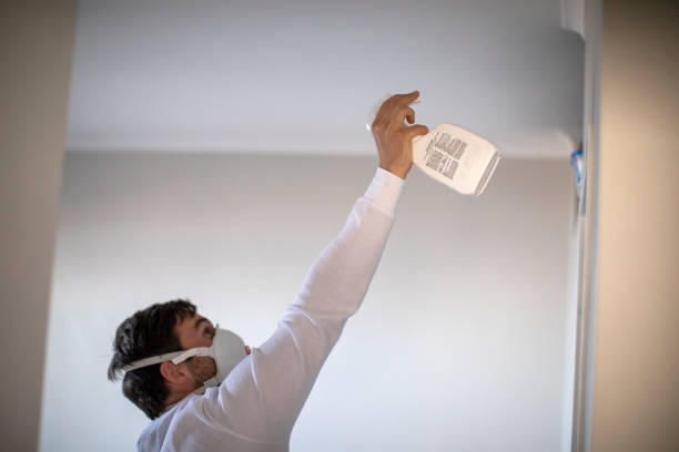 Best Mold Remediation  in Mckenzie, TN