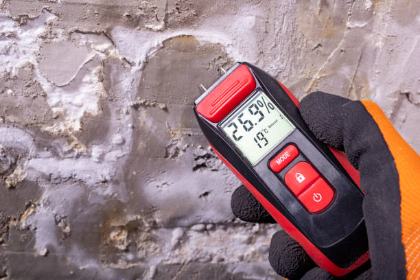 Trusted Mckenzie, TN Mold Removal Experts
